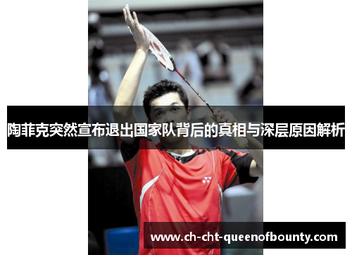 陶菲克突然宣布退出国家队背后的真相与深层原因解析